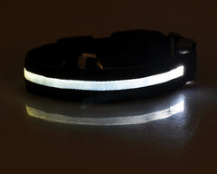 Nylon LED Pet Dog Luminous Collar Night Safety Flashing Glow in Dark Dog Cat Leash Adjustable Pet Supplies