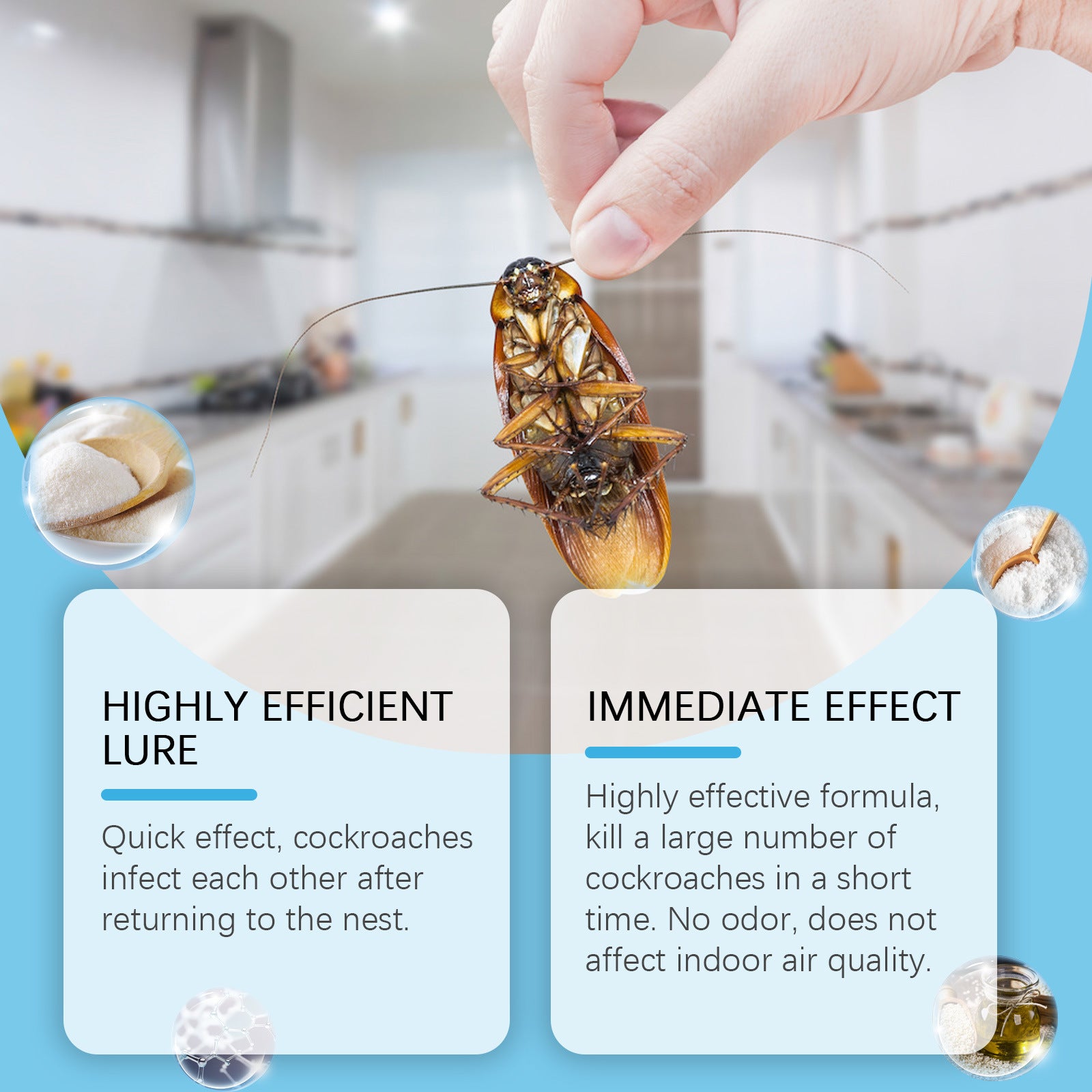 Living Room And Kitchen Bedroom Home Special Cockroach Bait Agent