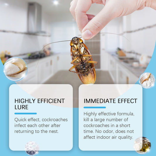 Living Room And Kitchen Bedroom Home Special Cockroach Bait Agent